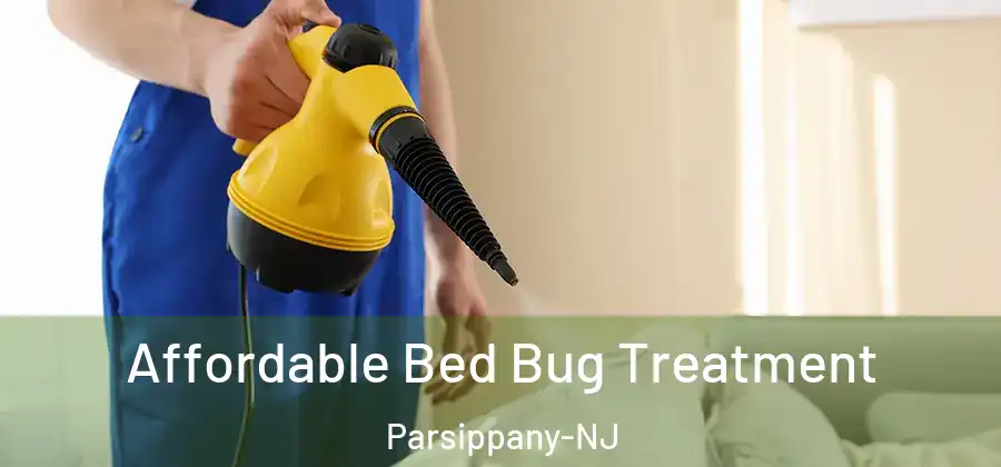 Affordable Bed Bug Treatment Parsippany-NJ