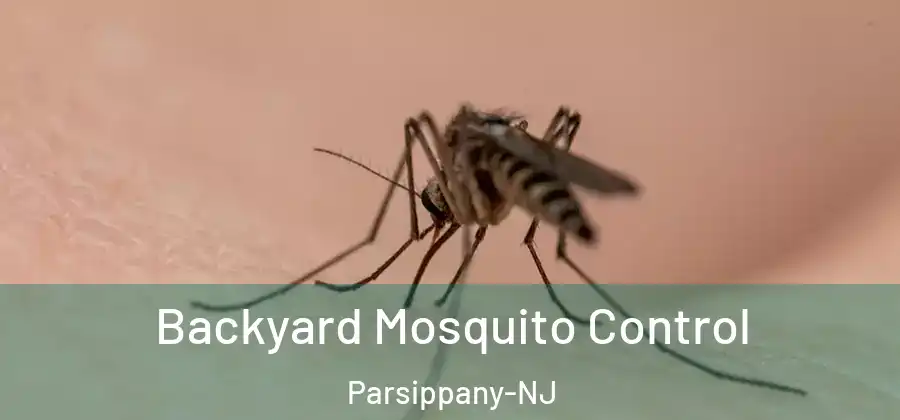 Backyard Mosquito Control Parsippany-NJ
