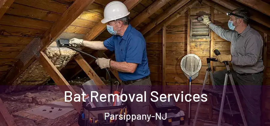 Bat Removal Services Parsippany-NJ