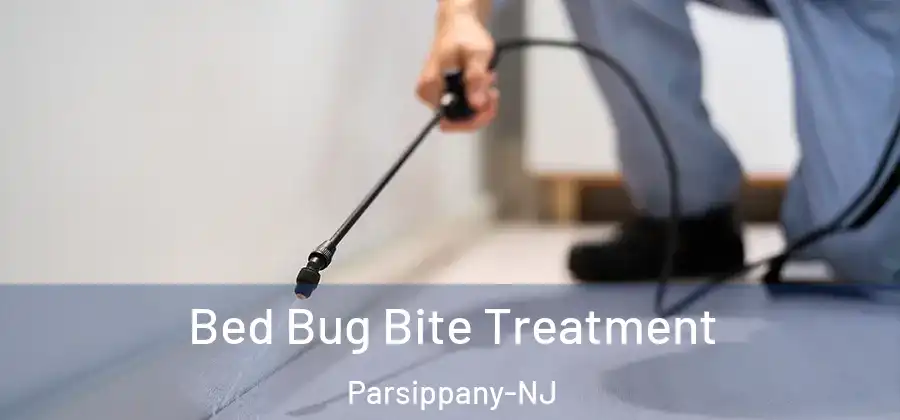 Bed Bug Bite Treatment Parsippany-NJ