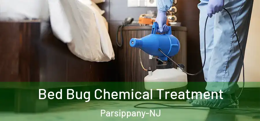 Bed Bug Chemical Treatment Parsippany-NJ
