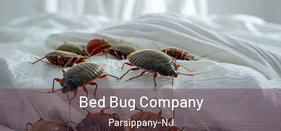 Bed Bug Company Parsippany-NJ