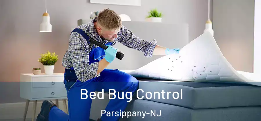  Bed Bug Control Parsippany-NJ