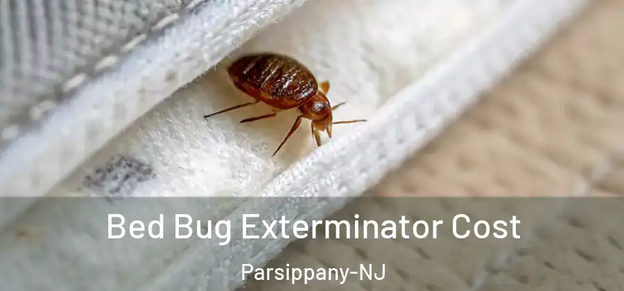 Bed Bug Exterminator Cost Parsippany-NJ