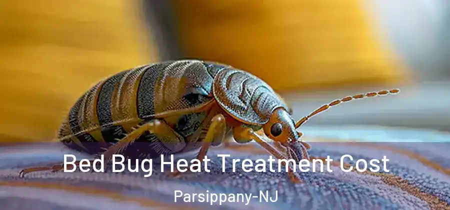 Bed Bug Heat Treatment Cost Parsippany-NJ