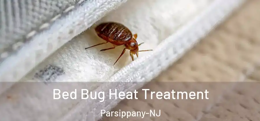  Bed Bug Heat Treatment Parsippany-NJ