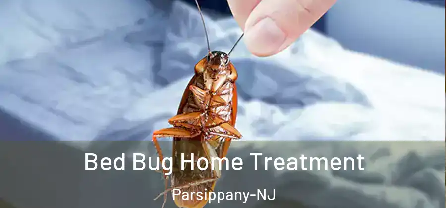  Bed Bug Home Treatment Parsippany-NJ