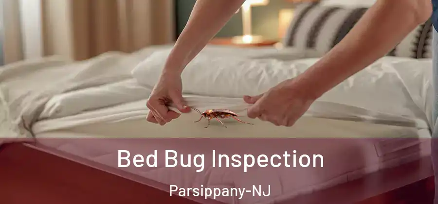 Bed Bug Inspection Parsippany-NJ