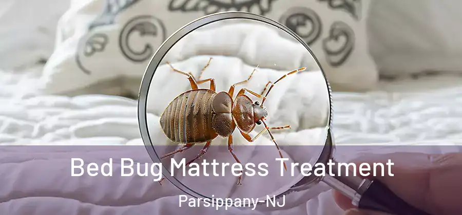  Bed Bug Mattress Treatment Parsippany-NJ
