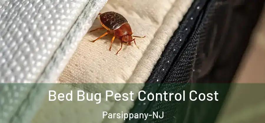 Bed Bug Pest Control Cost Parsippany-NJ