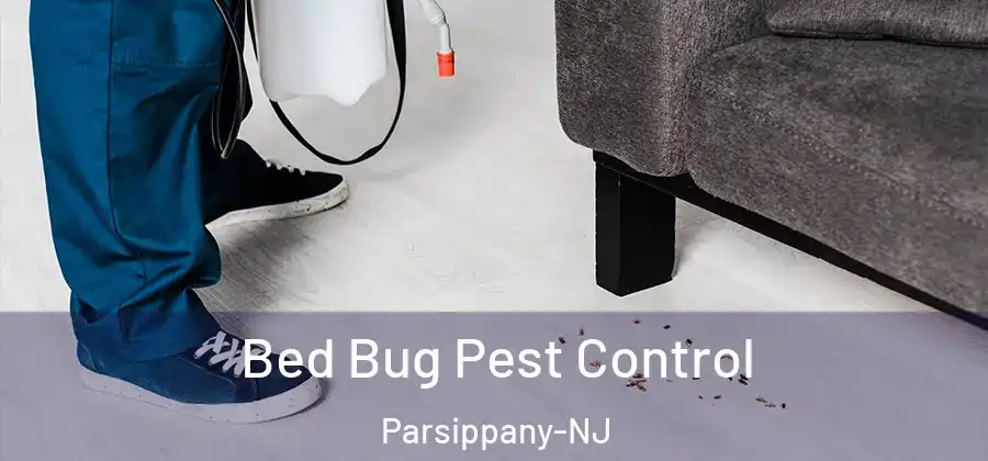 Bed Bug Pest Control Parsippany-NJ