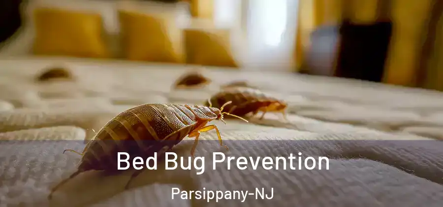  Bed Bug Prevention Parsippany-NJ