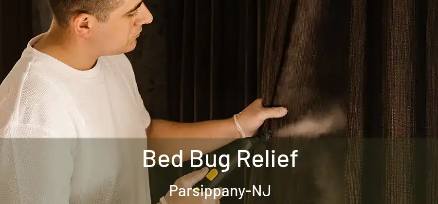 Bed Bug Relief Parsippany-NJ