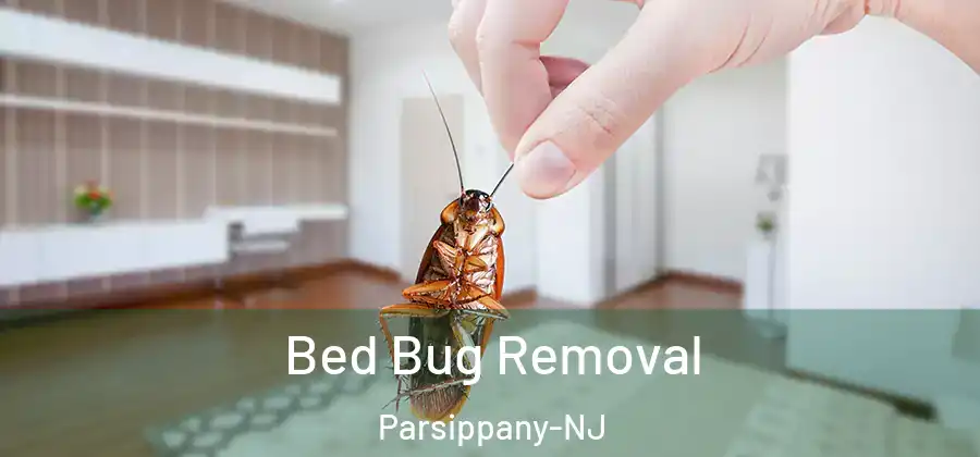Bed Bug Removal Parsippany-NJ