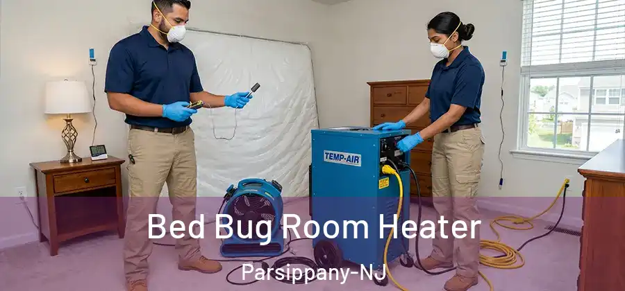 Bed Bug Room Heater Parsippany-NJ