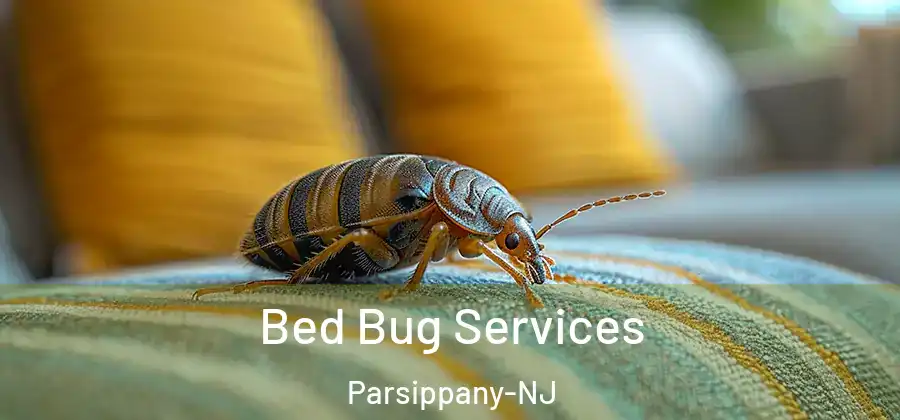 Bed Bug Services Parsippany-NJ