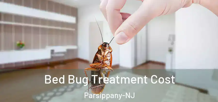 Bed Bug Treatment Cost Parsippany-NJ