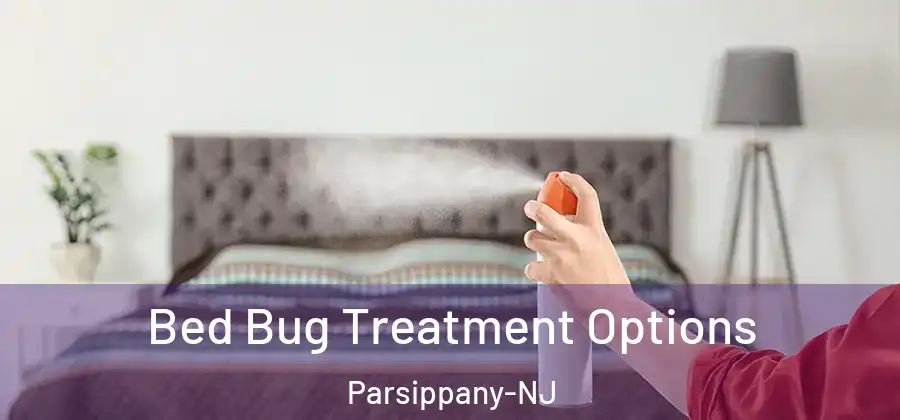 Bed Bug Treatment Options Parsippany-NJ