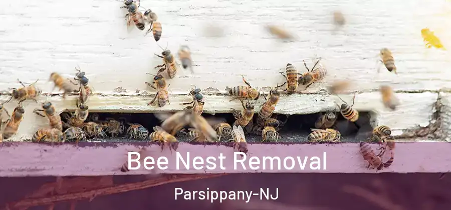 Bee Nest Removal Parsippany-NJ