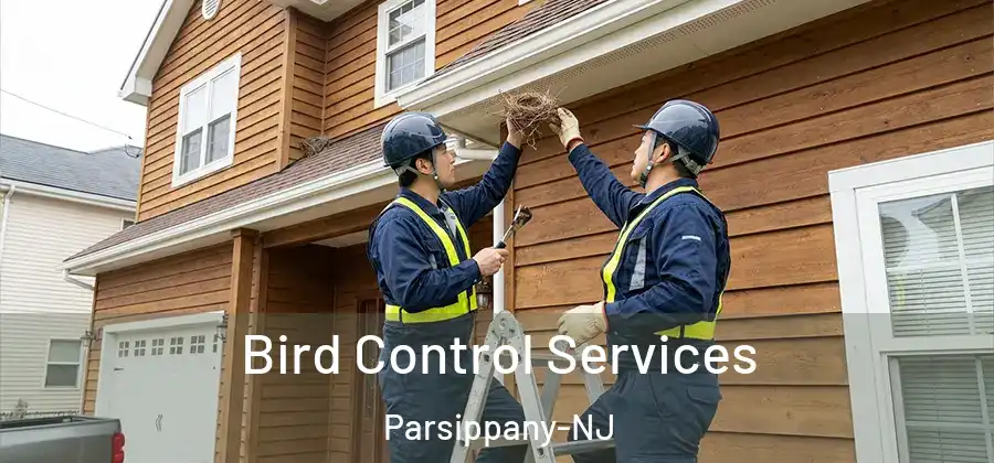 Bird Control Services Parsippany-NJ