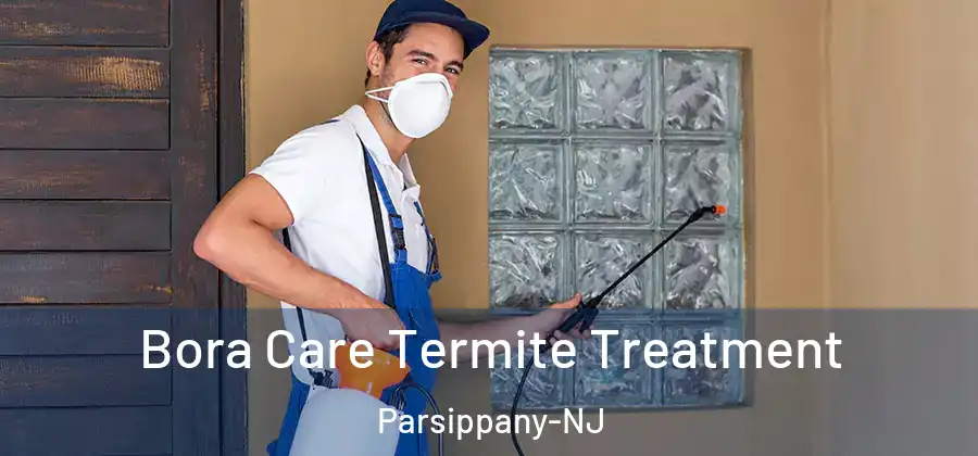 Bora Care Termite Treatment Parsippany-NJ
