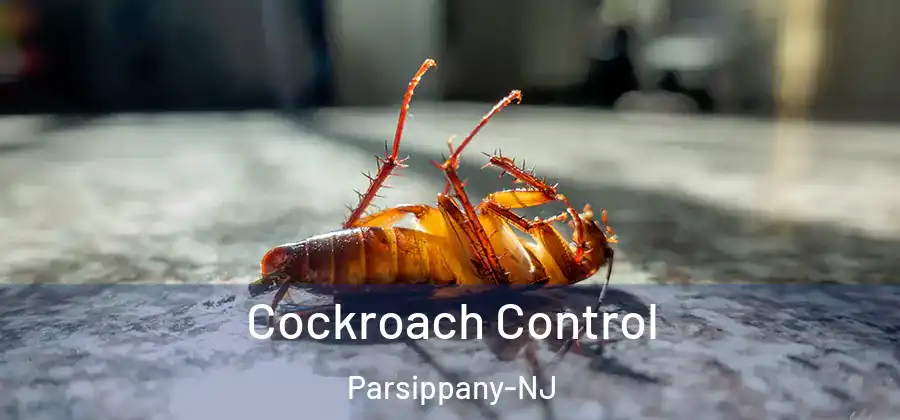 Cockroach Control Parsippany-NJ