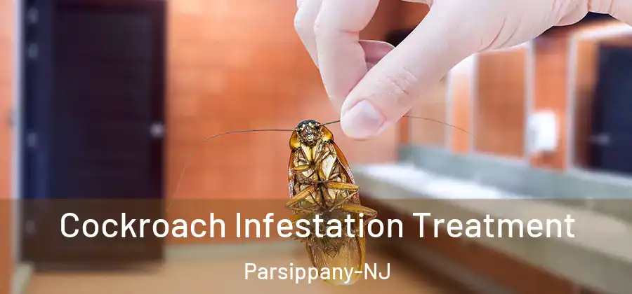  Cockroach Infestation Treatment Parsippany-NJ