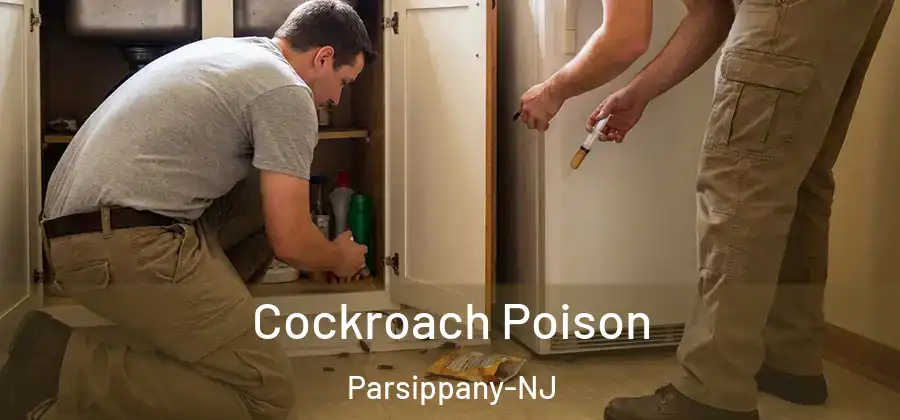 Cockroach Poison Parsippany-NJ