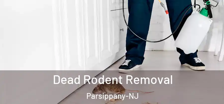 Dead Rodent Removal Parsippany-NJ