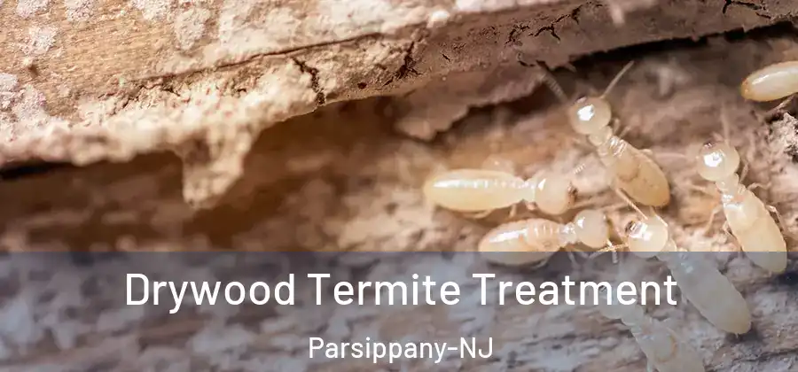  Drywood Termite Treatment Parsippany-NJ