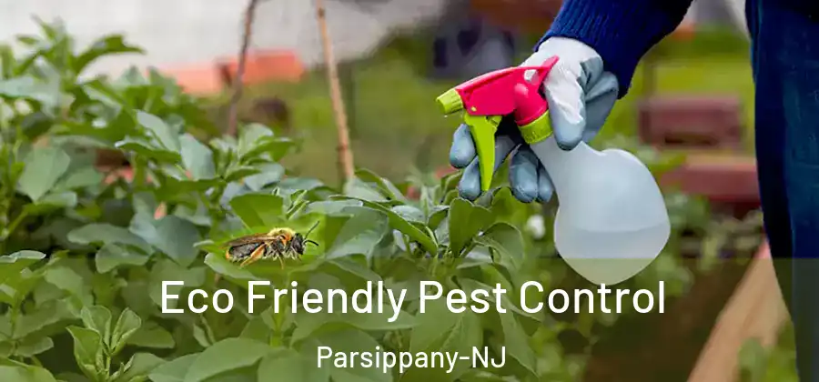 Eco Friendly Pest Control Parsippany-NJ