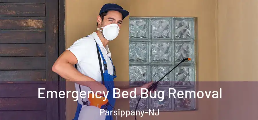 Emergency Bed Bug Removal Parsippany-NJ