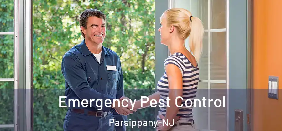 Emergency Pest Control Parsippany-NJ