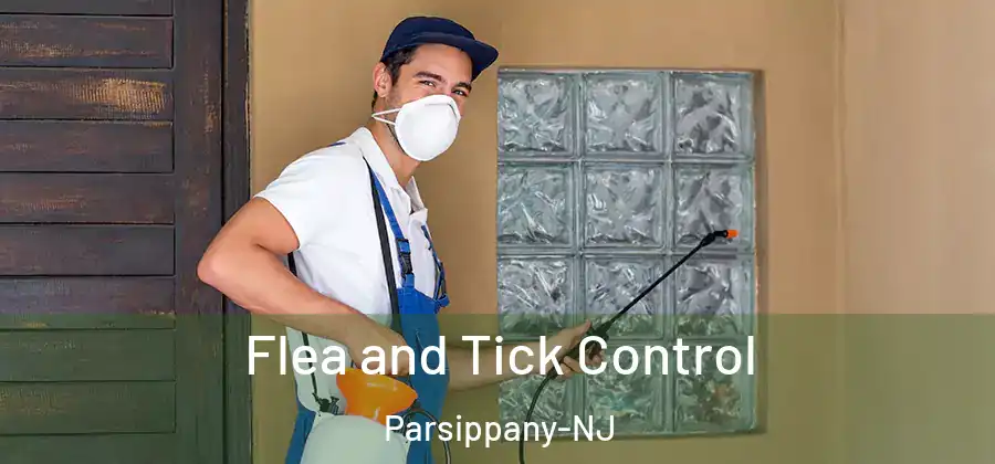 Flea and Tick Control Parsippany-NJ