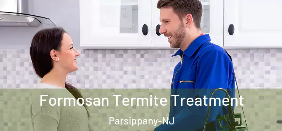  Formosan Termite Treatment Parsippany-NJ