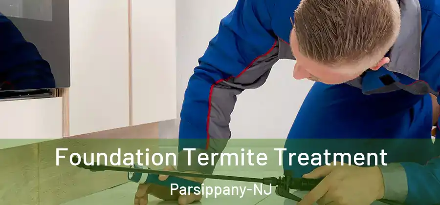  Foundation Termite Treatment Parsippany-NJ