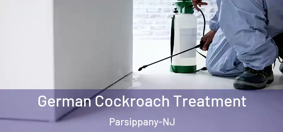 German Cockroach Treatment Parsippany-NJ