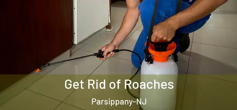 Get Rid of Roaches Parsippany-NJ