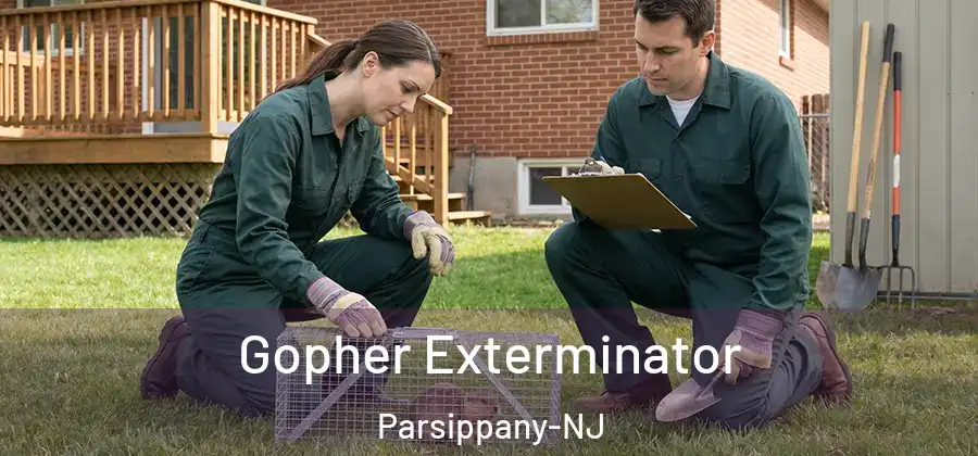 Gopher Exterminator Parsippany-NJ
