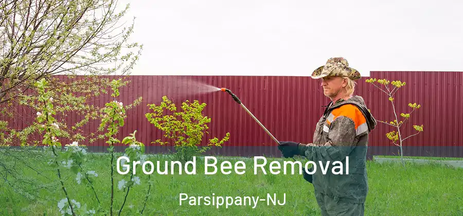Ground Bee Removal Parsippany-NJ