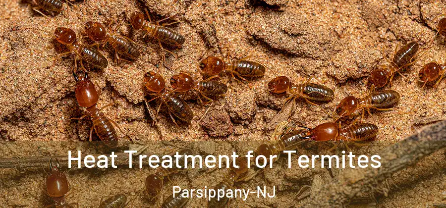 Heat Treatment for Termites Parsippany-NJ