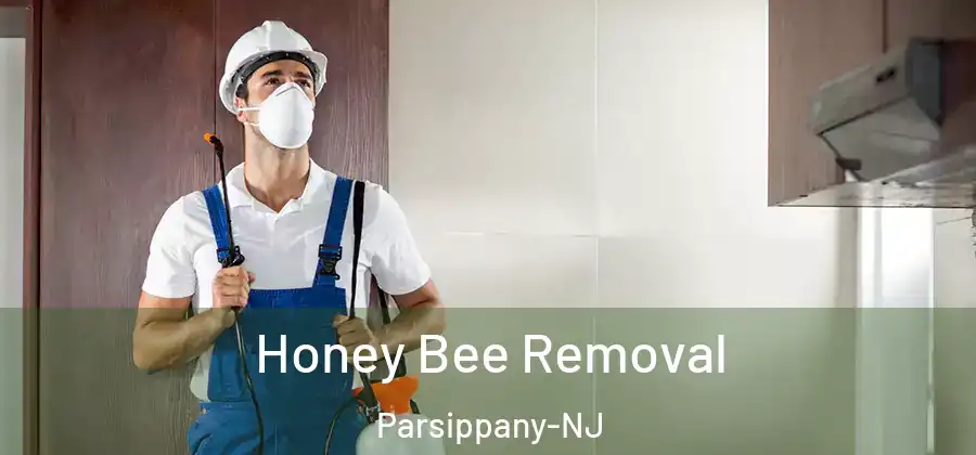  Honey Bee Removal Parsippany-NJ
