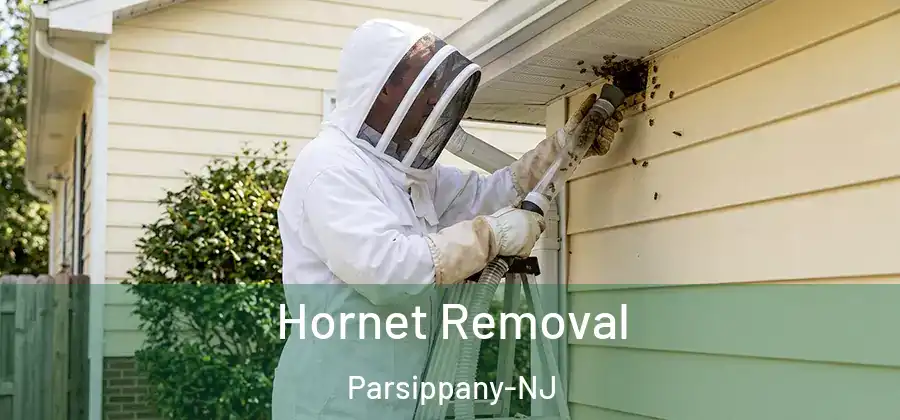  Hornet Removal Parsippany-NJ