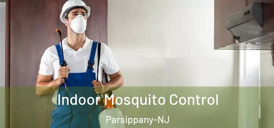 Indoor Mosquito Control Parsippany-NJ