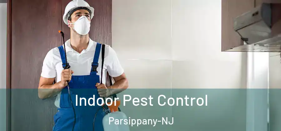 Indoor Pest Control Parsippany-NJ