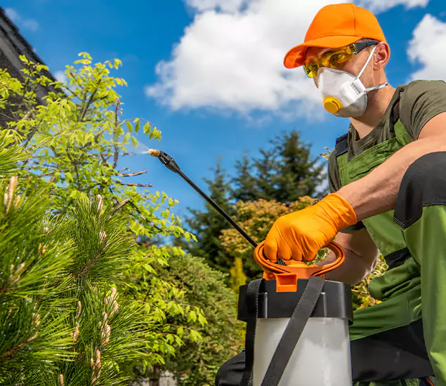 Your Mosquito Repellent Barrier Service in Parsippany, NJ