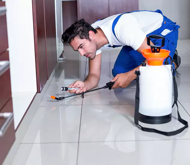 Reliable Professional Mouse Removal: Your Best Mouse Control Company in Parsippany, NJ