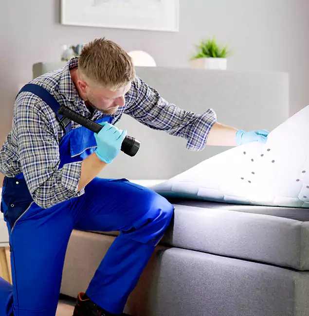 Why Choose Parsippany Pest Control Pro For Bed Bug Heat Treatment in Parsippany, NJ?