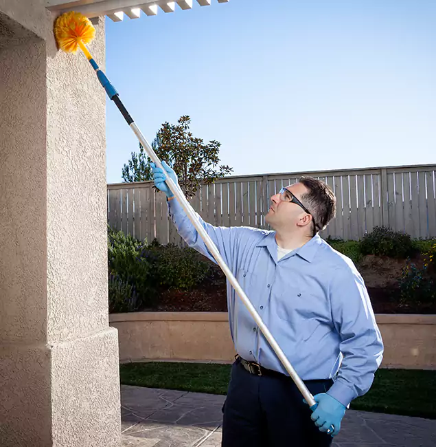 Why Choose Parsippany Pest Control Pro for Foundation Termite Treatment in Parsippany, NJ?
