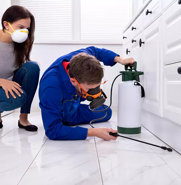 Why Parsippany, NJ Homeowners Trust Parsippany Pest Control Pro for Roach Control?